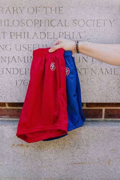 Classic Retro Mesh Short