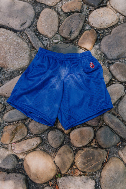 Classic Retro Mesh Short